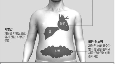 액상과당 과잉섭취 시 유발되는 질환