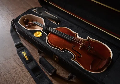 새로 구입한 바이올린