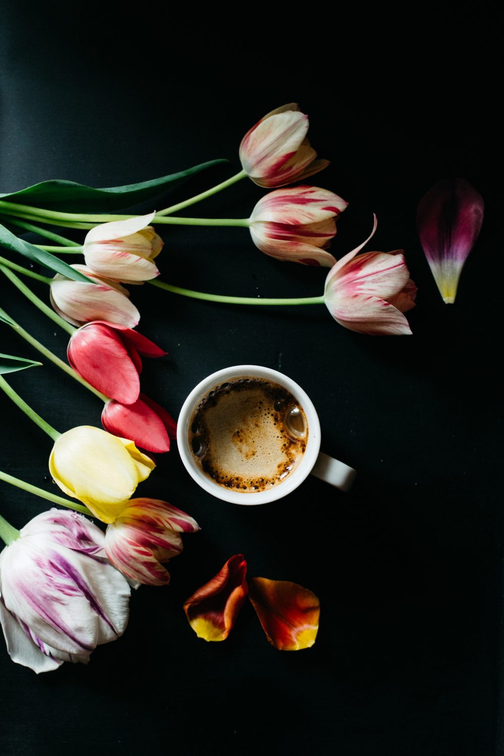 ali-yahya-1449179-unsplash7.jpg