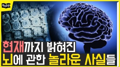 인간의 뇌에 관한 놀라운 사실들